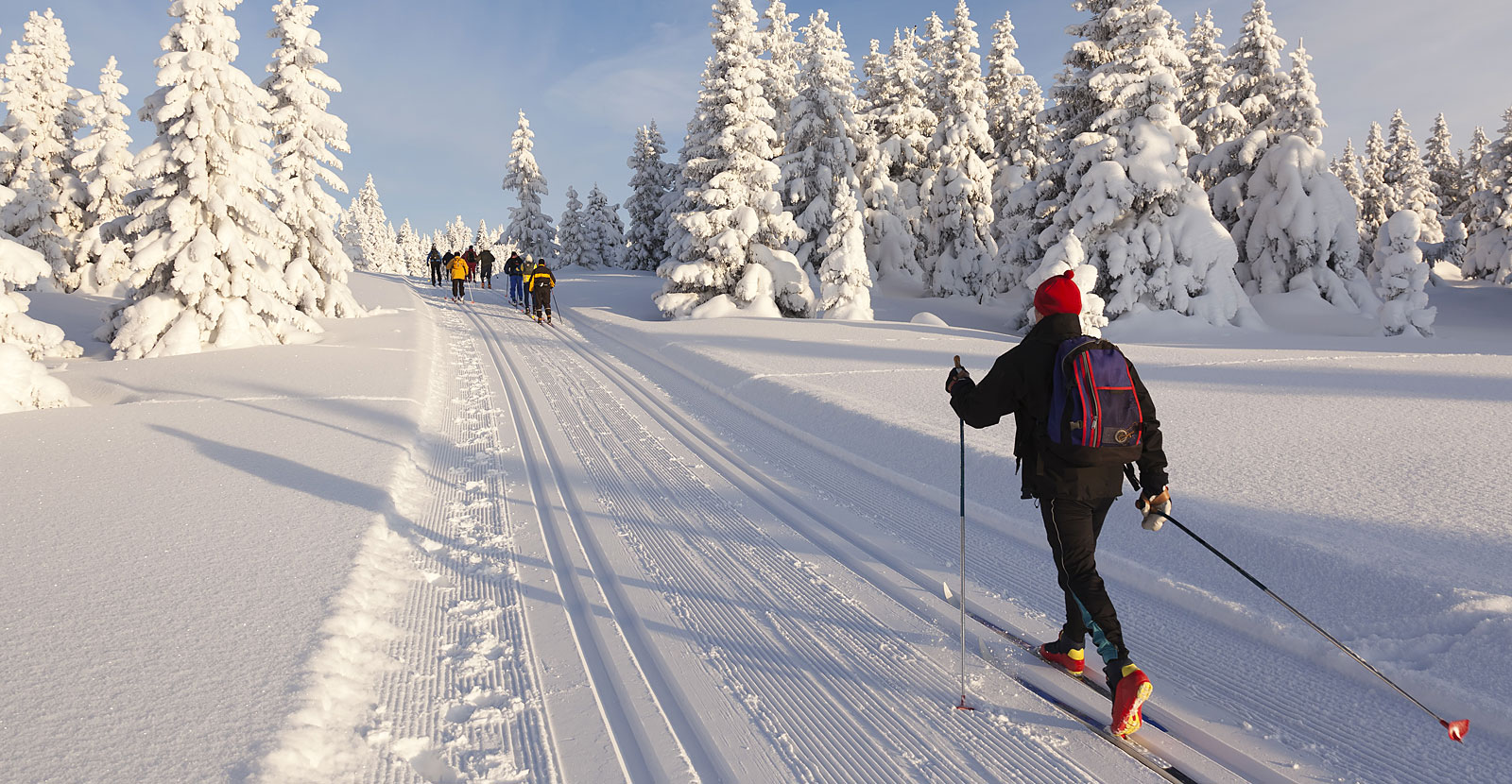 Winter im Bayerischen Wald  - Langlaufloipen