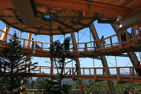 Baumwipfelpfad am Nationalpark Bayerischer Wald